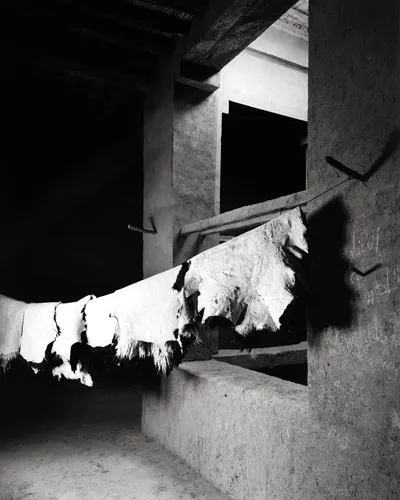 Morocco Dra valley ksar Tissergate house interior patio gallery© Bart Deseyn