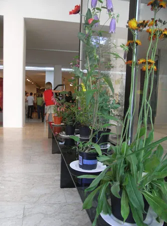 Blazek gallery Graz 05