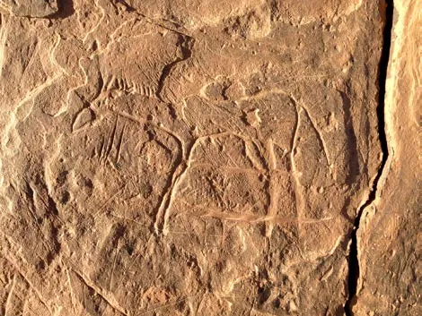 Rock carving with faint animal outlines
