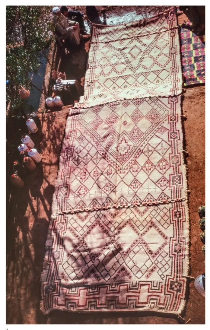 Densely patterned Beni Ouarain rug photographed outdoors